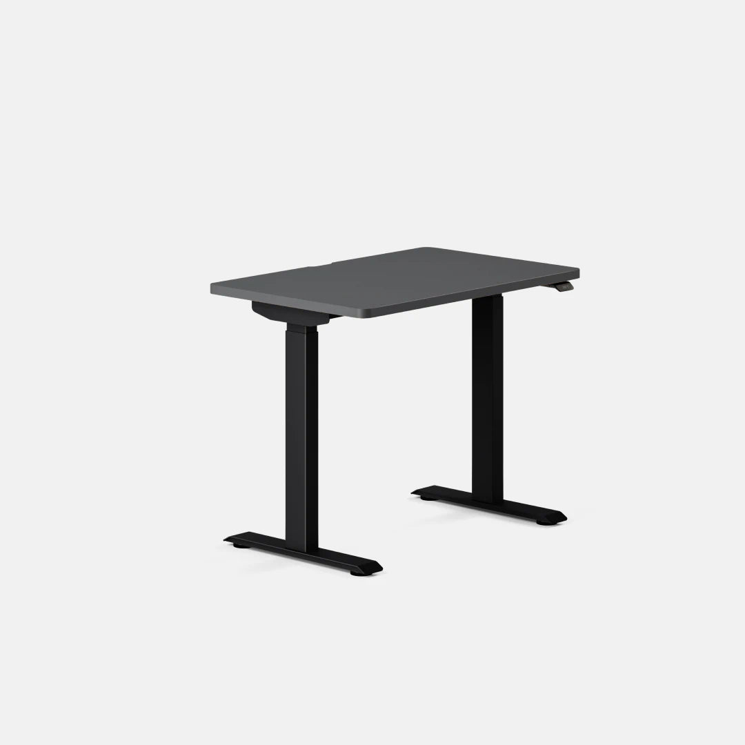 Branch Duo, 36 × 24 inches, Charcoal top with Black legs; official image for SKU 10-10-07-90.