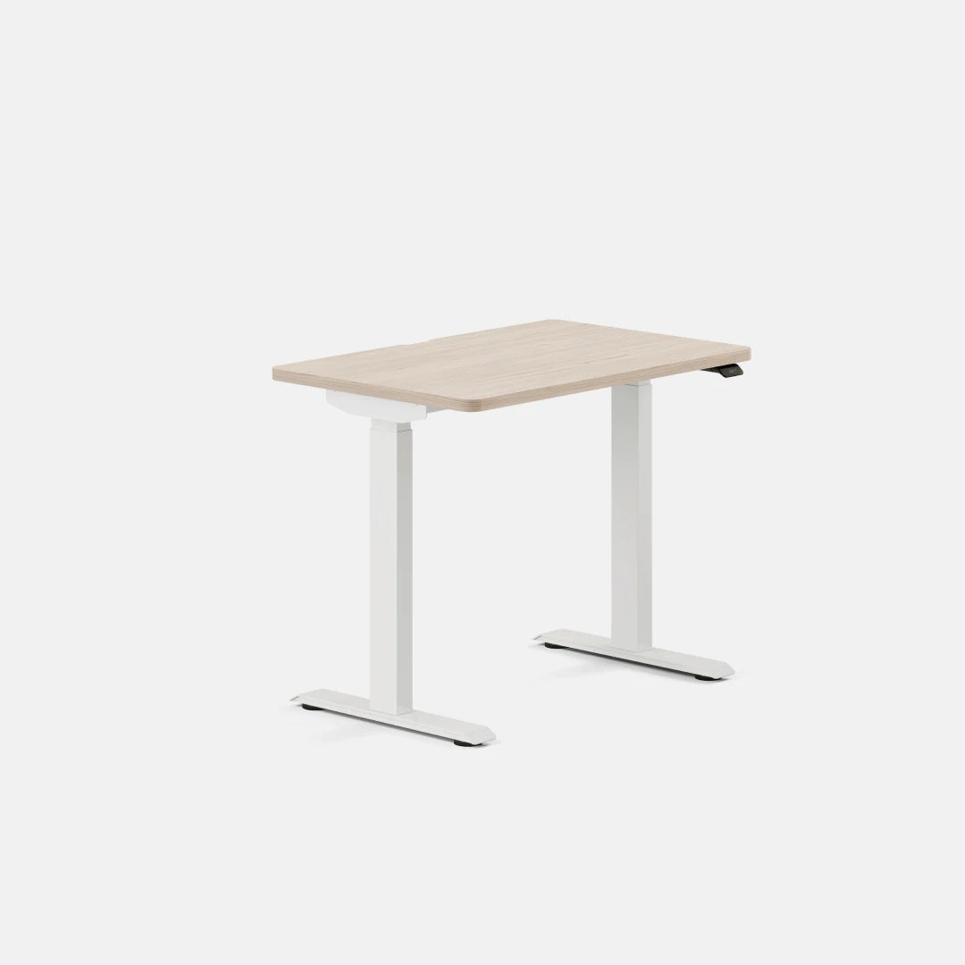 Branch Duo 36 × 24 inches adjustable desk with Maple top-color and White legs, manufacturer product view.