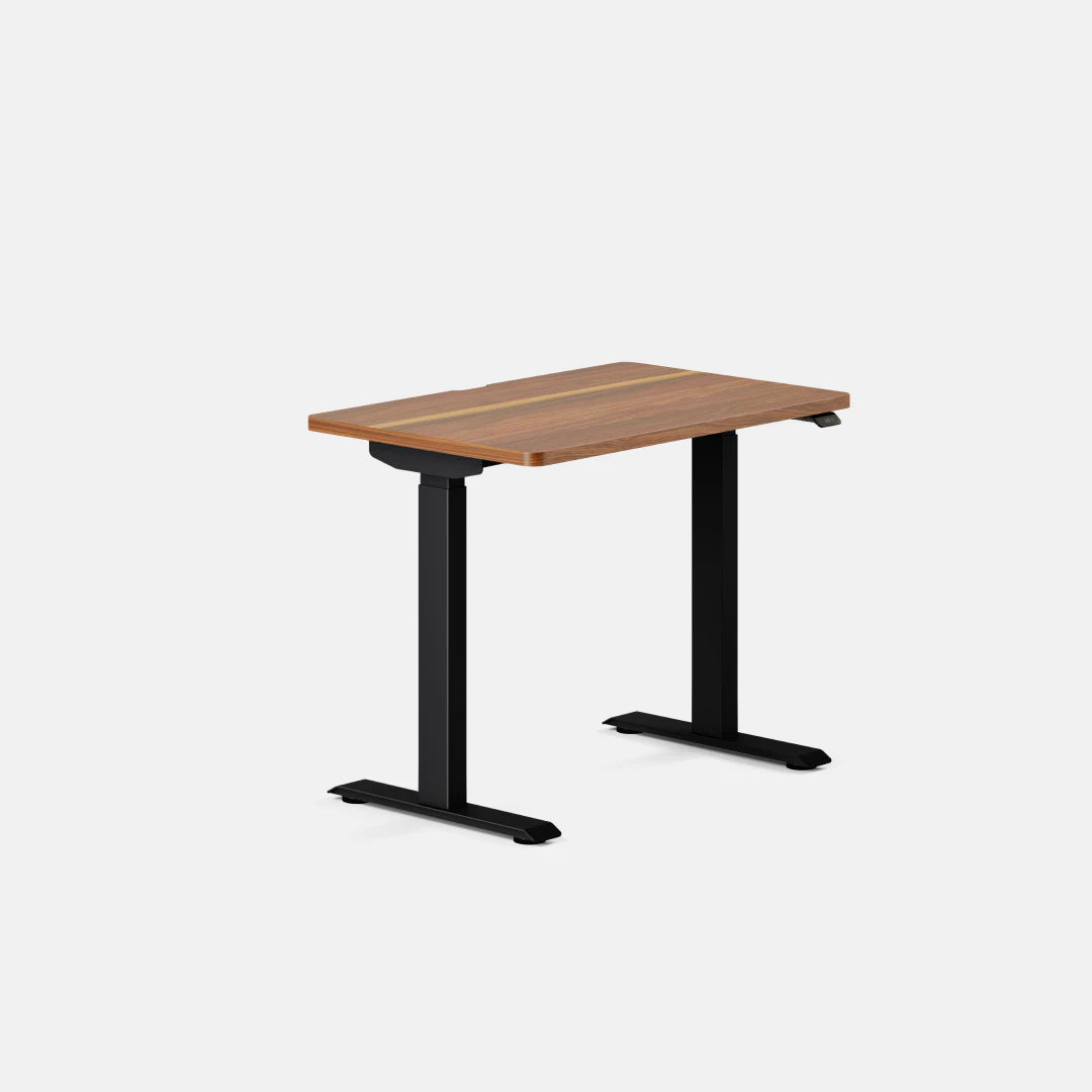 Branch Duo 36 × 24 inches standing desk with Walnut top-color and Black legs, official manufacturer view for SKU 10-10-07-86.