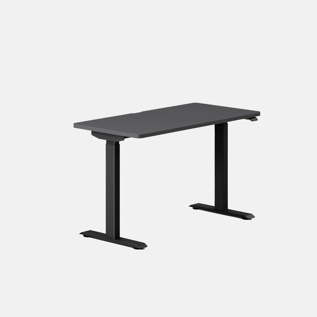 Branch Duo, 48 × 24 inches, Charcoal top with Black legs; official image for SKU 10-10-05-90.