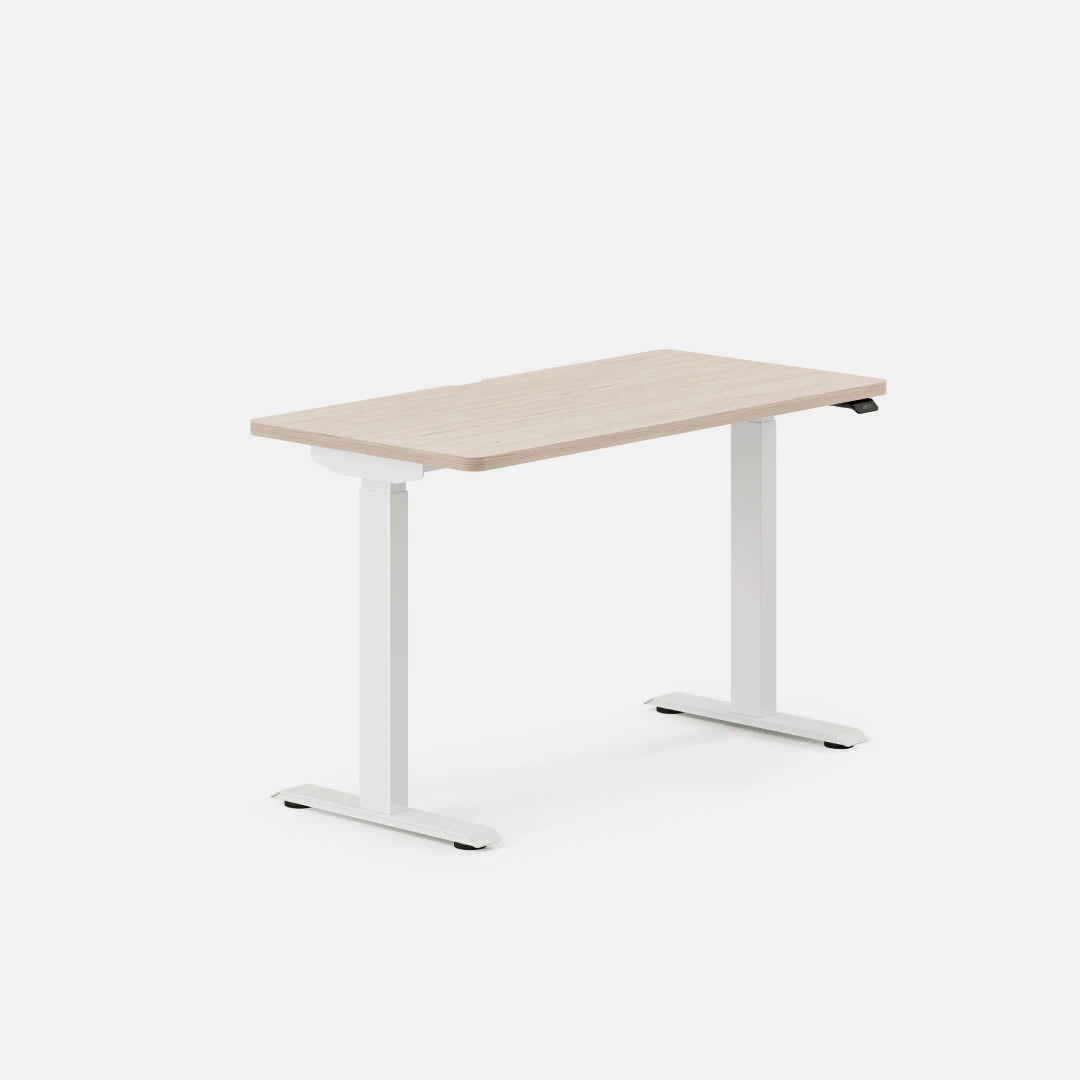 Branch Duo 48 × 24-inch family reference shown in Maple top-color and White legs; the reviewed Eggshell / White selection is a different finish.