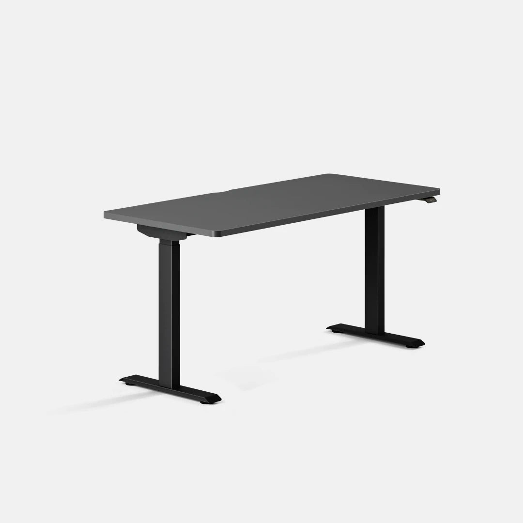 Branch Duo, 58 × 27 inches, Charcoal top with Black legs; official image for SKU 10-10-09-90.