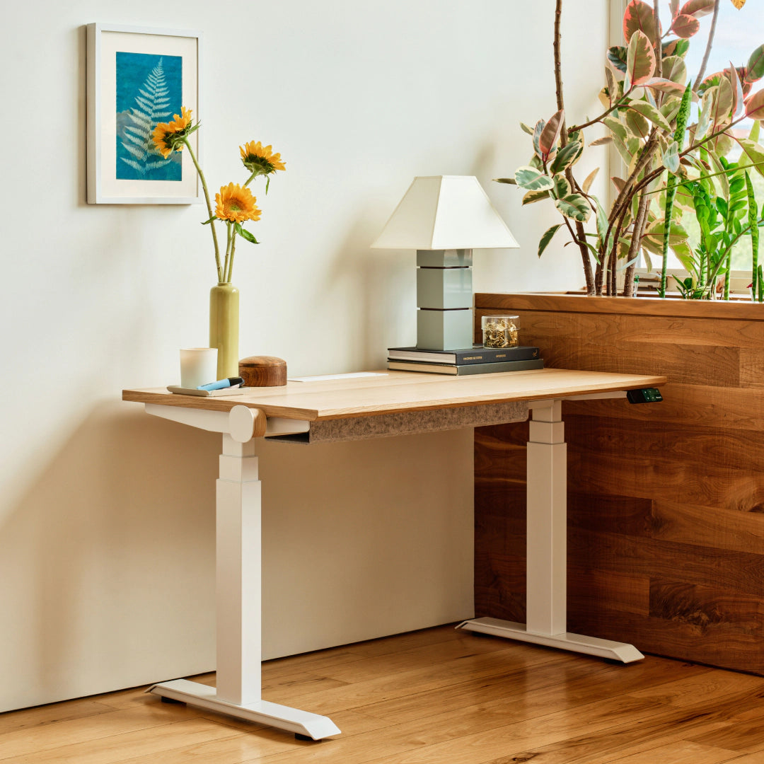 Branch Tria standing desk with Natural Oak laminated-MDF top and White legs; media does not identify selected size.